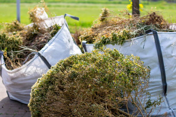 Best Same-Day Junk Removal  in Casas Adobes, AZ